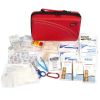 LifeLine AAA Road Trip Kit - AAA Kit / Auto Kit For Vehicles